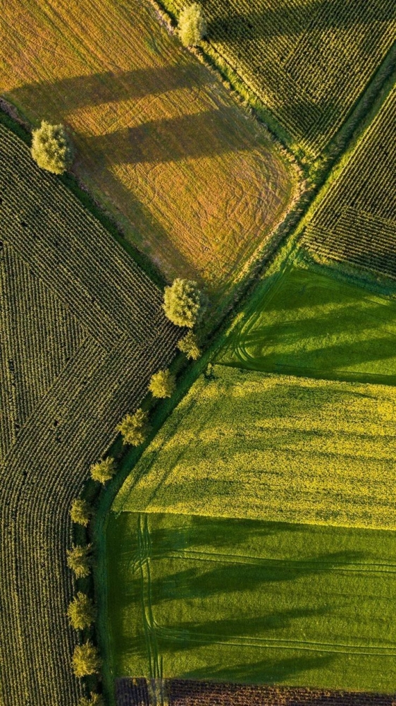 SAFER : ce qui change depuis le 20 août 2026